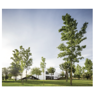 alentejo   designhotel l and vineyards  3