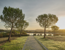 alentejo   designhotel l and vineyards  5