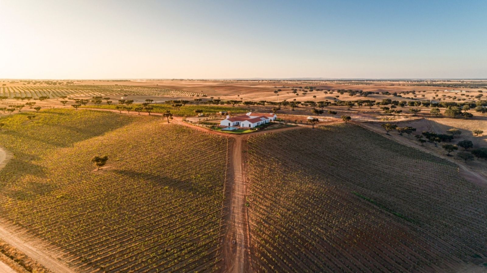 herdade da malhandinda nova house herdade da malhandinda nova house