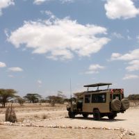 kenia   fotoverslag safari  