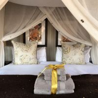 namibie   een parel in afrika   fotoverslag  