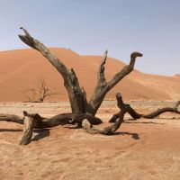 namibie   een parel in afrika   fotoverslag  