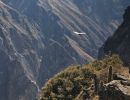peru   de magische wereld van de incas  