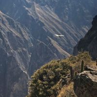 peru   de magische wereld van de incas  