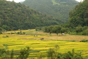 Griet_Thailand_2014_014_original
