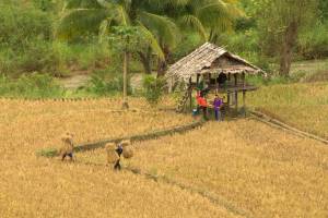 Griet_Thailand_2014_022_original
